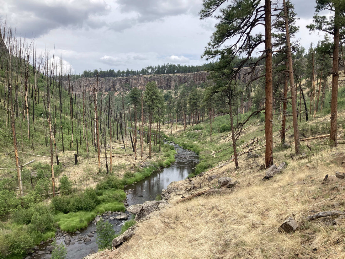 November fishing in Arizona