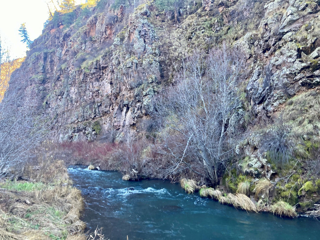October fishing in Arizona