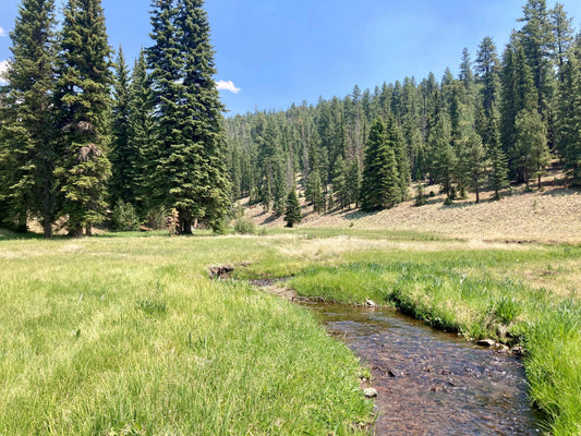 July fishing in Arizona