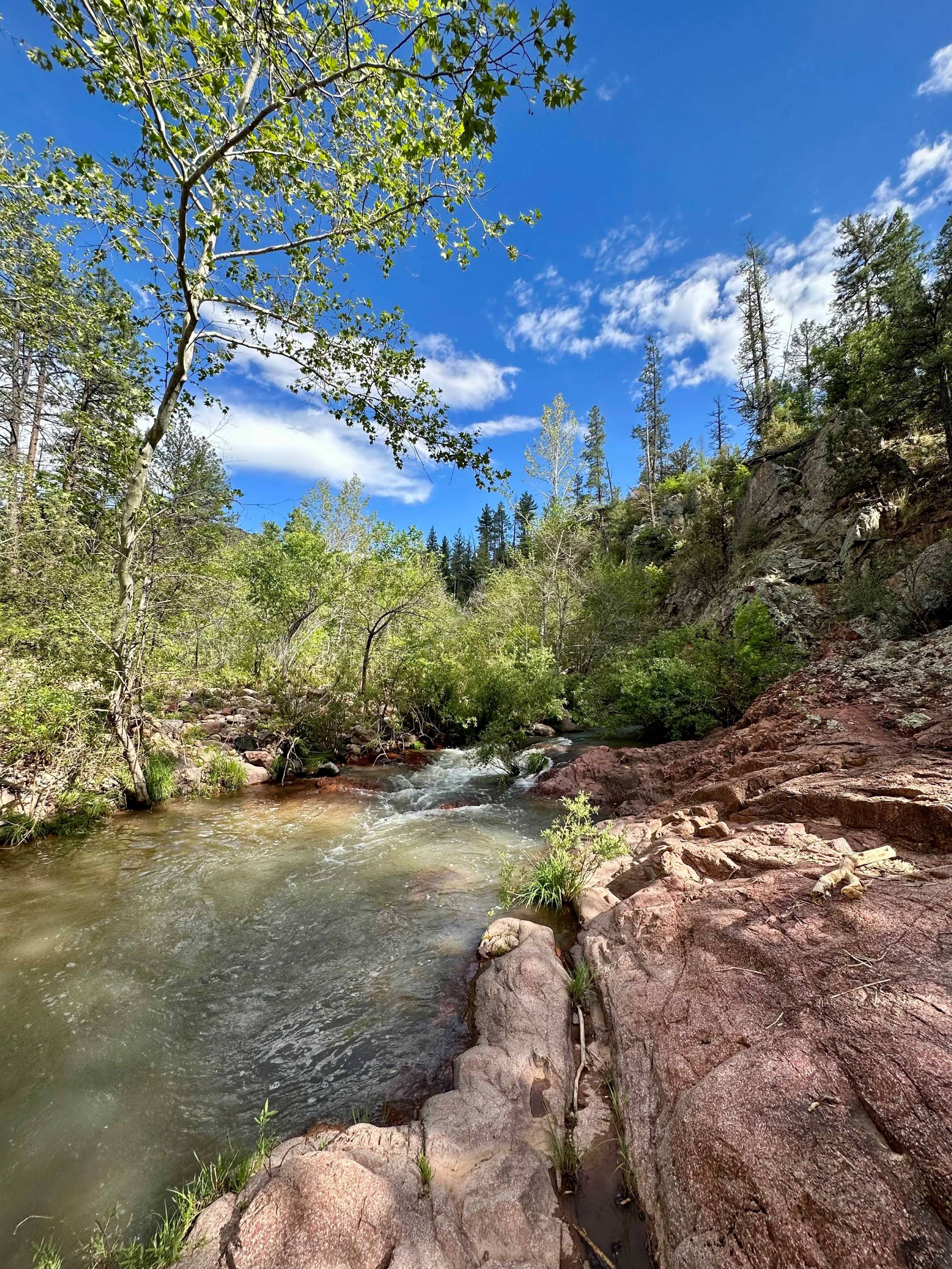 Arizona April Fishing Report for lakes, streams, and rivers – Pheasant ...