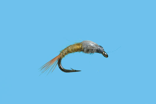 CDC Case BWO Emerger