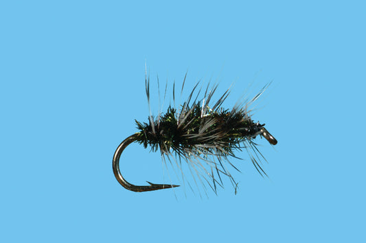 Griffith Gnat