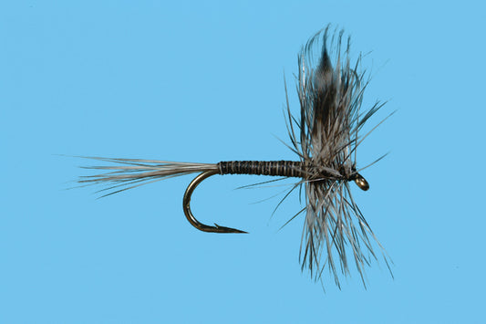 Mosquito