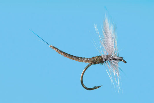 Extended Body BWO