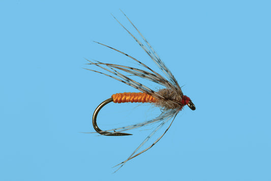 Partridge and Orange