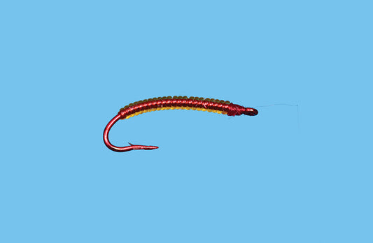 Worm Annalid
