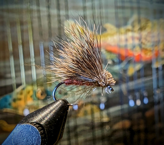 Faulkin Caddis