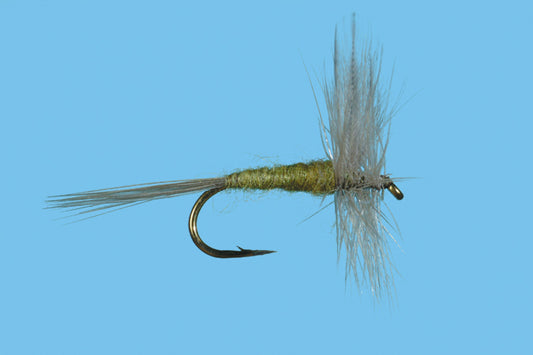 Blue Wing Olive