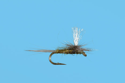 Parachute Midge