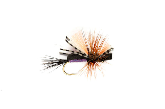 Fulling Mill Holo Humpy