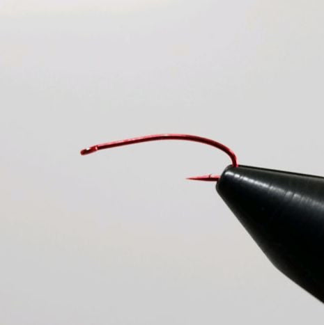 Daiichi 1273 Curved Nymph Hook