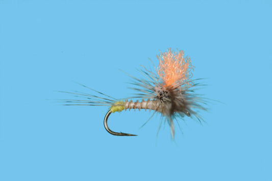 Hi-Vis Spinner