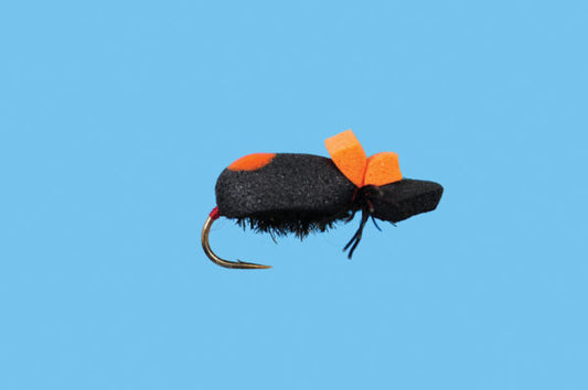 Beetle