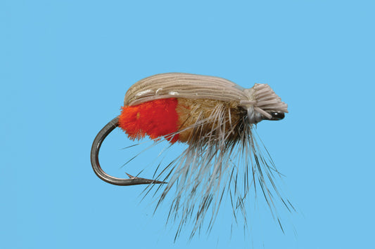 Sand Crab