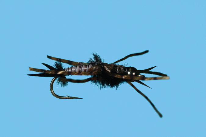 Tungsten Stonefly Nymph