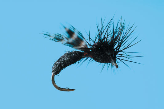 RP’s Ant