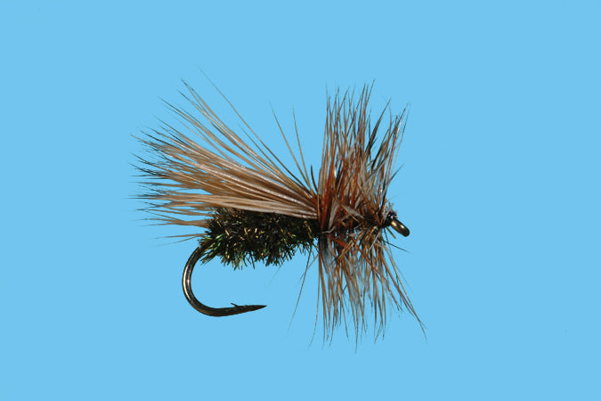 Peacock Caddis