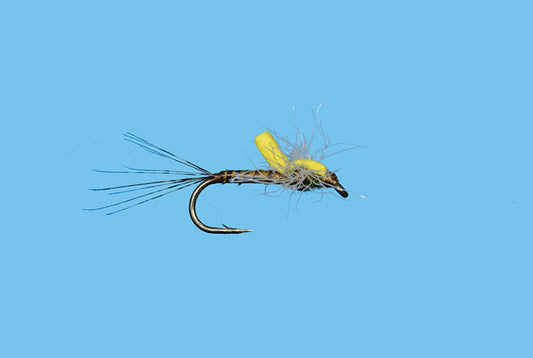 C-Um Spinner
