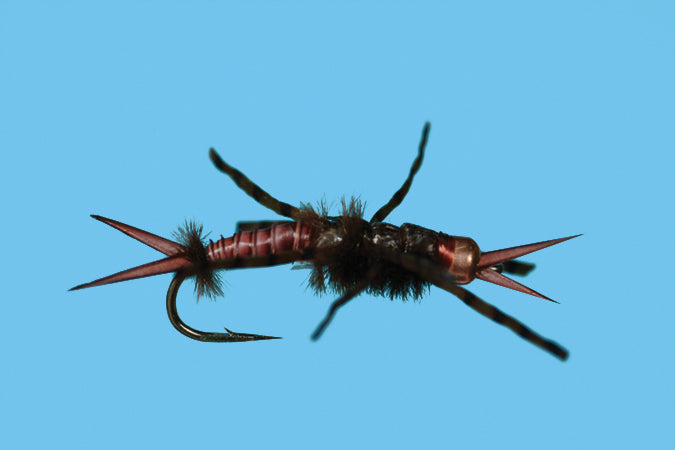 Tungsten Stonefly Nymph