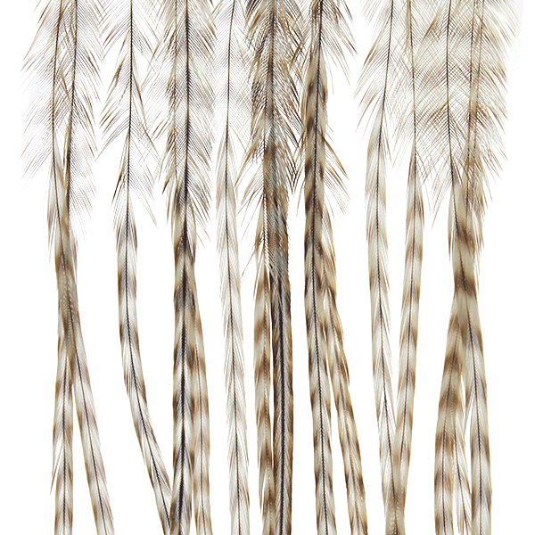 MFC Whiting Hackle 100 pack