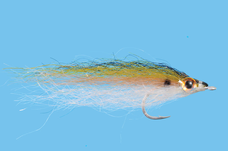 SF Baitfish