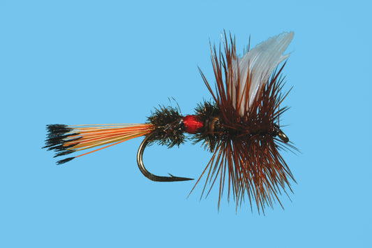 Royal Coachman