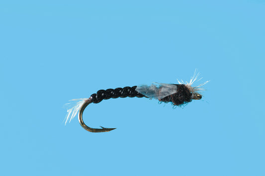 Chironomid