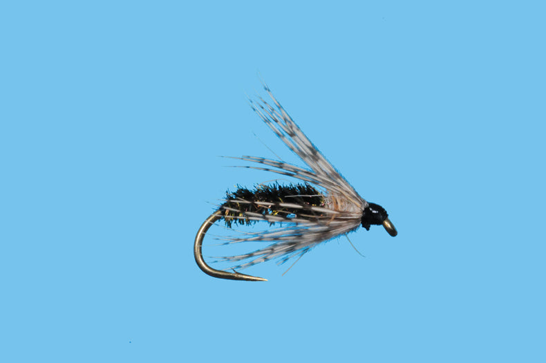 Soft Hackle Peacock