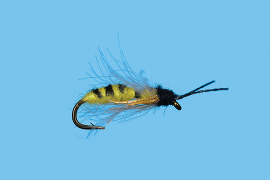 Drowning Yellow Jacket