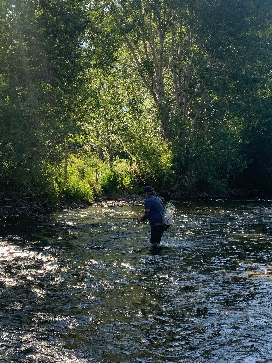 Pheasant Tail Fly Fishing