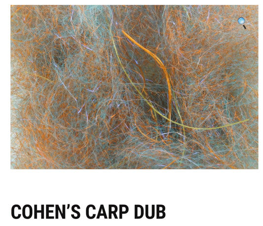 Cohen Carp Dub