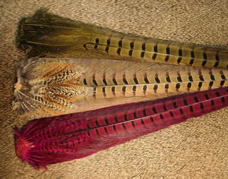 Natures Spirit Pheasant Tail Clump
