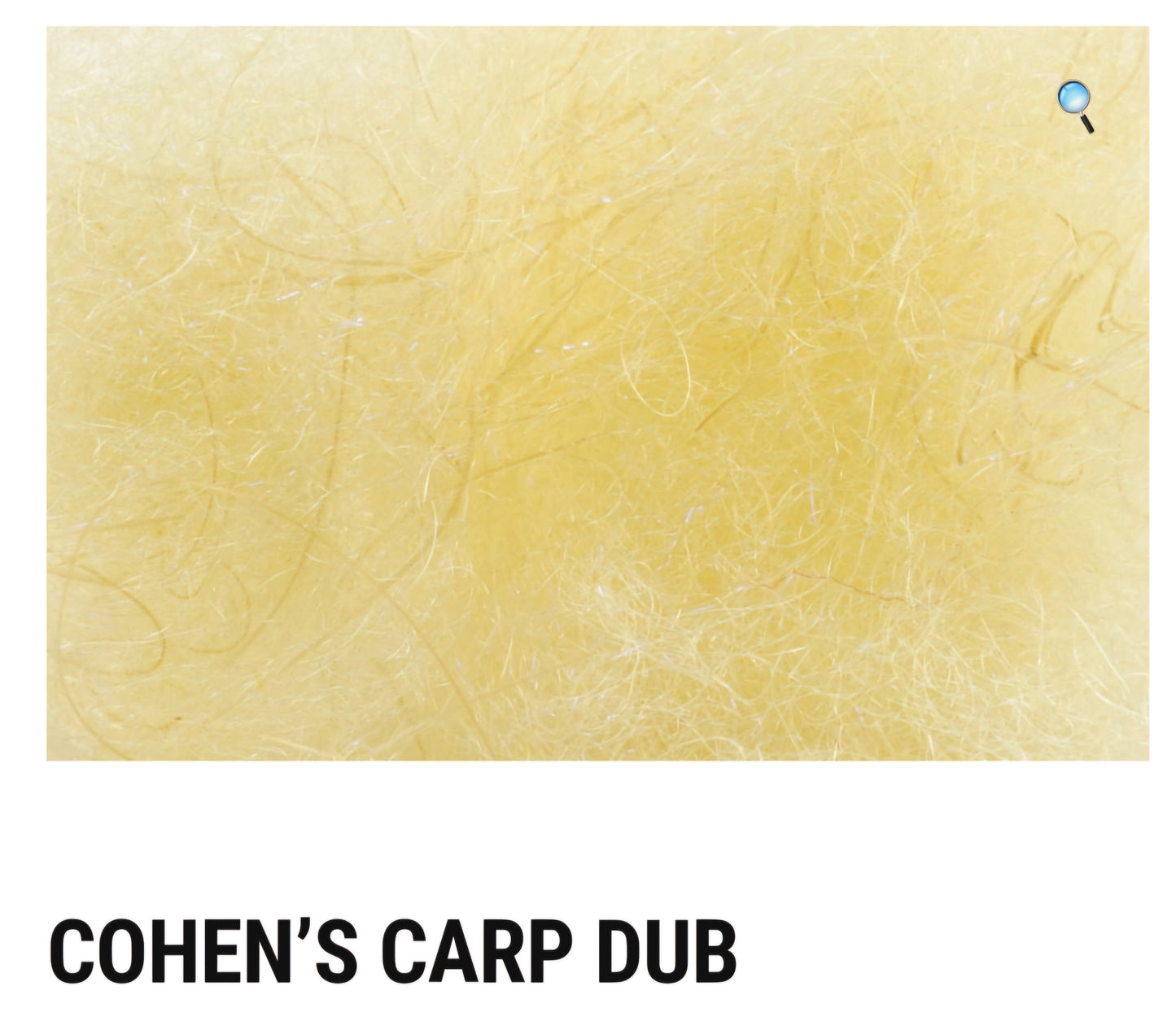 Cohen Carp Dub